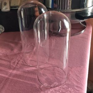 Glass Curiosity Display